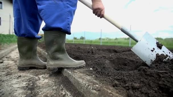 γεωργός αναποδογυρίζοντας το χώμα - Πλάνα, βίντεο
