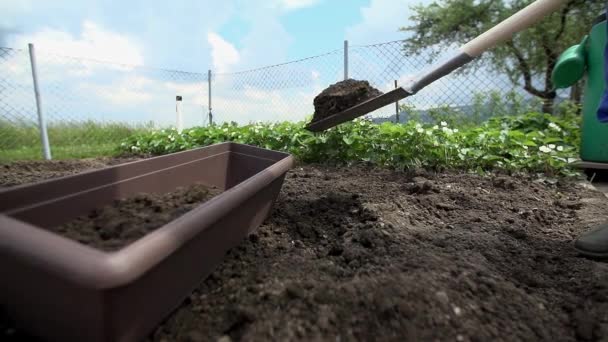 Agricultor llenando la olla con el suelo
 - Metraje, vídeo