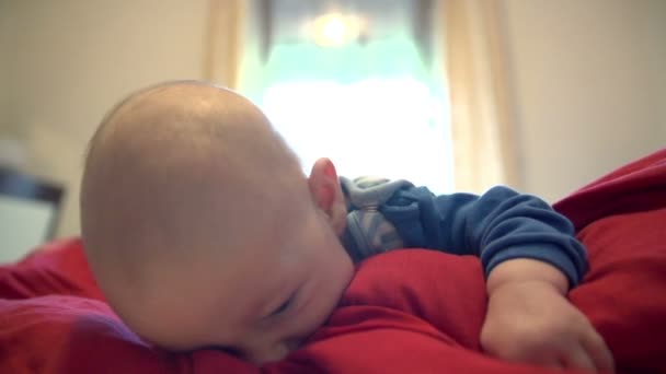 baby boy is laying on red blanket - Footage, Video