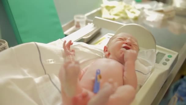 Krankenschwester wiegt gerade geborenes Baby - Filmmaterial, Video