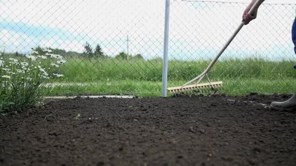 Gardener softening  the surface of the soil - Footage, Video