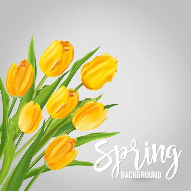 Spring Flower Background - with Tulips - in vector - Vektor, kép