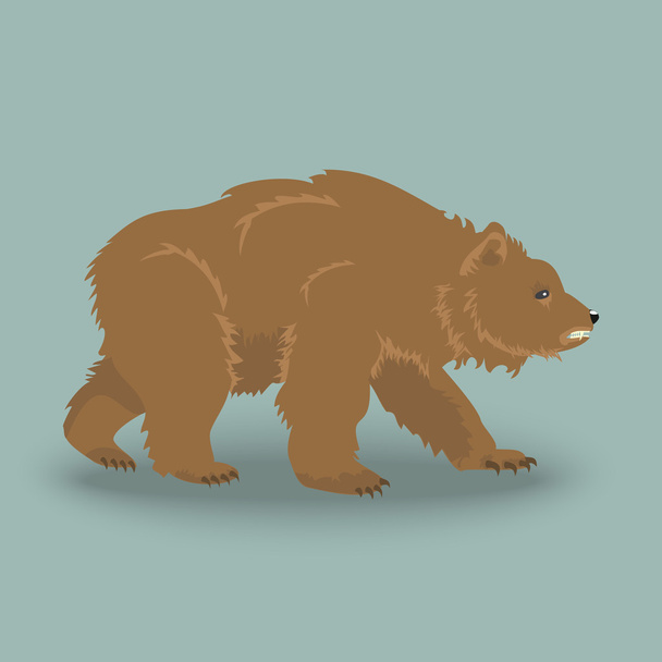 Kodiak ours en colère
  - Vecteur, image