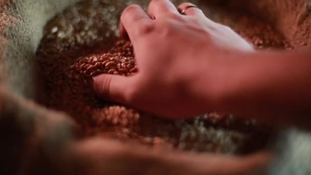 Mano de hombre fuerte toma una gran cantidad de granos de trigo de un saco
 - Imágenes, Vídeo