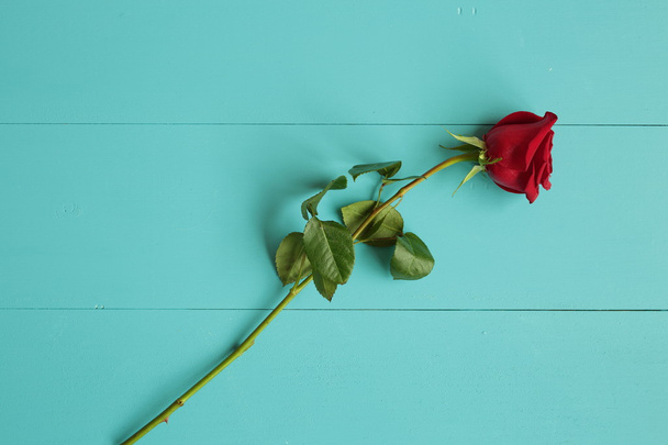 Rosa roja sobre fondo azul de madera
 - Foto, imagen