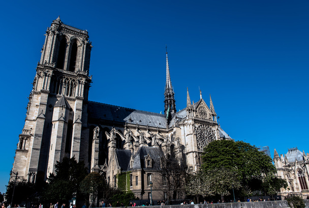 Catedral de Notre Dame, París
 - Foto, imagen