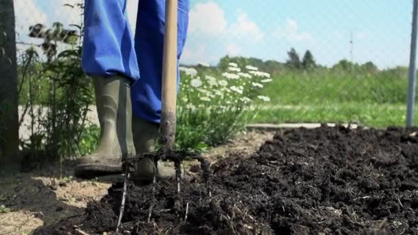 Gärtner putzt Stiefel - Filmmaterial, Video