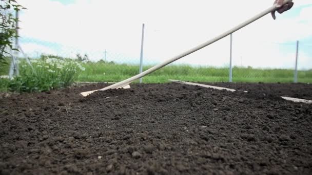 Gardener softening  the surface of the soil - Footage, Video