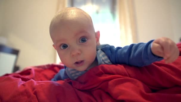 kisfiú szóló piros takaró - Felvétel, videó