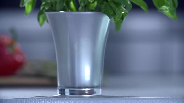 Nice decorative plant in a silver vase - Video, Çekim
