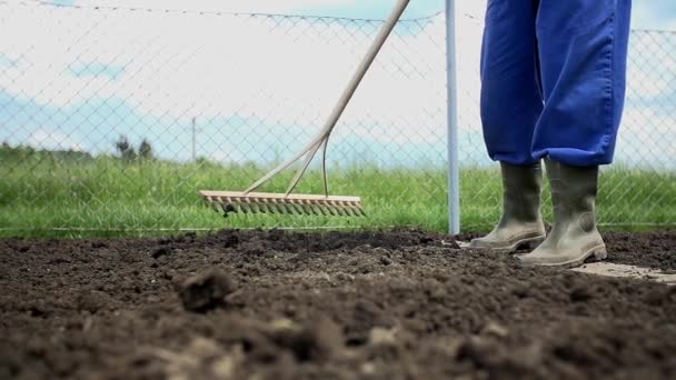 Gardener using wooden rake - Footage, Video