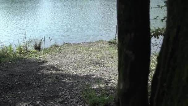 cavalier venant au lac
 - Séquence, vidéo