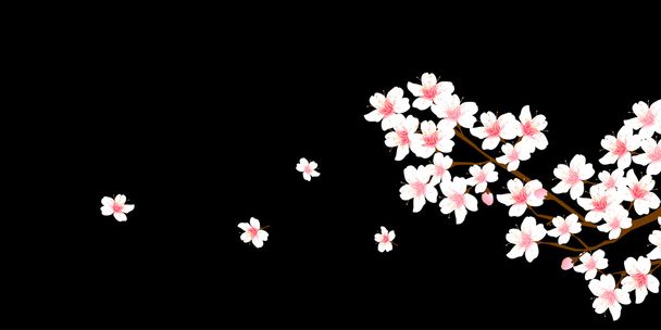 Cereja fundo da flor primavera
 - Vetor, Imagem
