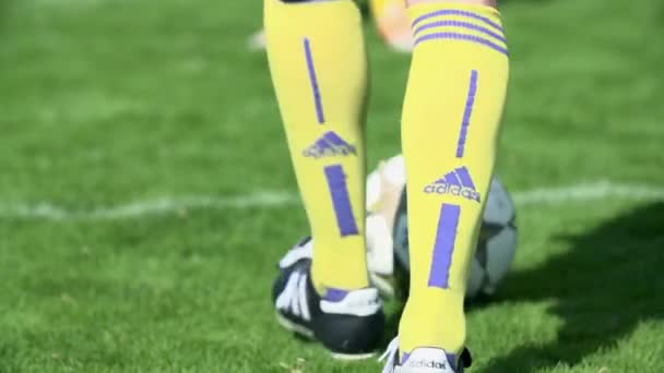 Fußballer kickt Ball auf Rasenplatz - Filmmaterial, Video
