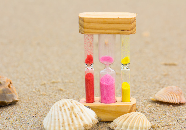 Homokóra a homokos strand - Fotó, kép