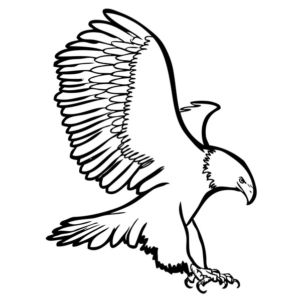 Kartal, Şahin kuş serbest kroki çizimi - Vektör, Görsel