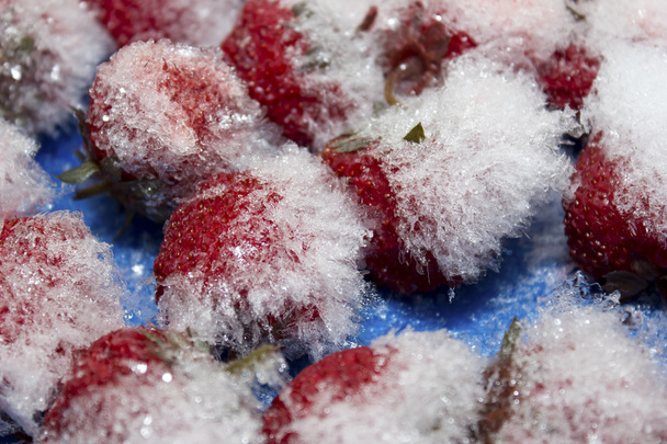 氷の赤熟したイチゴ - 写真・画像