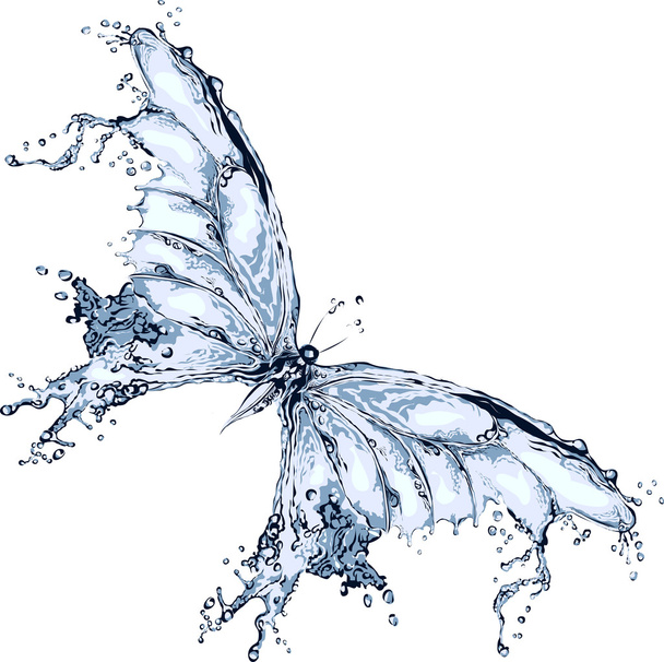 Víz-splash pillangó - Vektor, kép