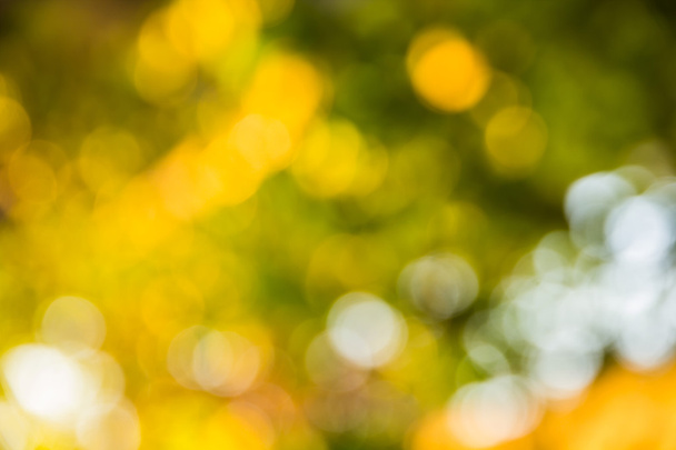 Soyut bokeh ve bulanık yeşil doğa arka plan  - Fotoğraf, Görsel