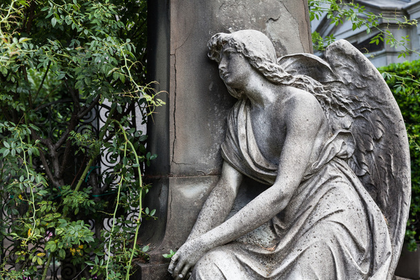 estátua do velho cemitério
 - Foto, Imagem
