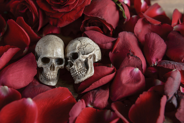 Still life photo with skull and rose to the concept of eternal love - Photo, image