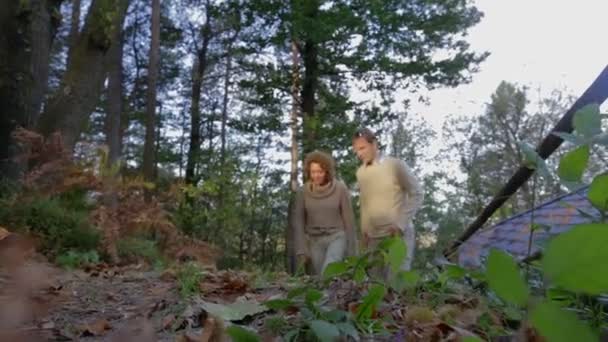 Paar pflückt im Wald etwas vom Boden - Filmmaterial, Video
