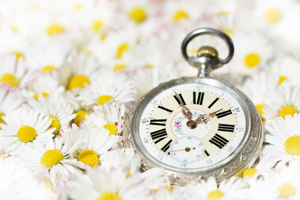 карманные часы в красивых романтических цветах
 - Фото, изображение