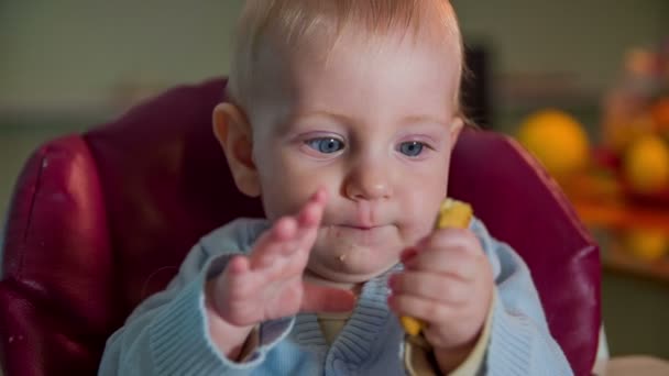 Młode dziecko jedzenie biscut - Materiał filmowy, wideo