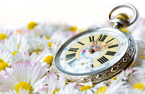 Taschenuhr in einem schönen romantischen Blumen - Foto, Bild