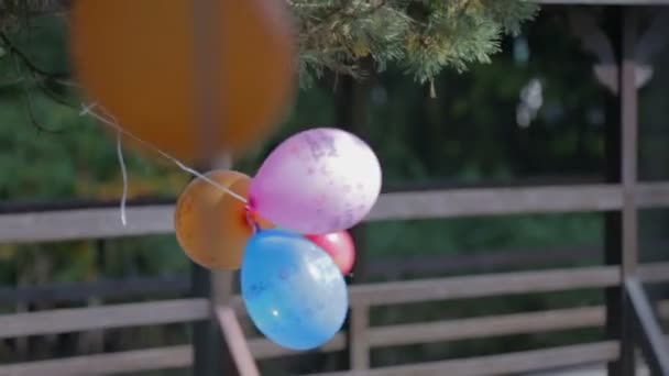 Luftballons auf dem Baum - Filmmaterial, Video