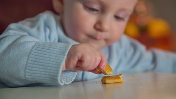 Το κουρασμένο νεαρό παιδί που παίζει με μπισκότα - Πλάνα, βίντεο