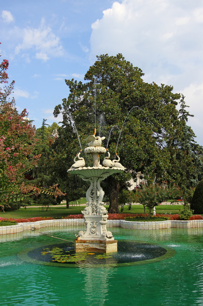 Fontaine dans le parc - Photo, image