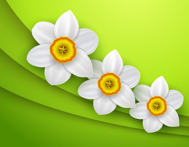 Green Background with spring flower - Vector, Image