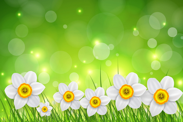 Flowers spring background - Фото, зображення