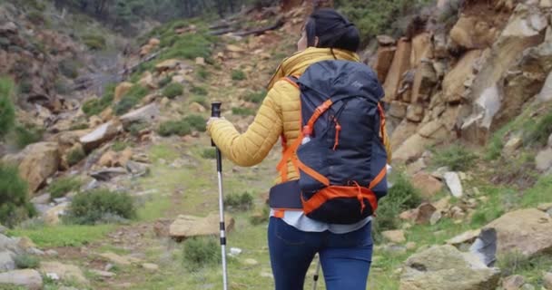 woman on hiking trail in mountains - Video