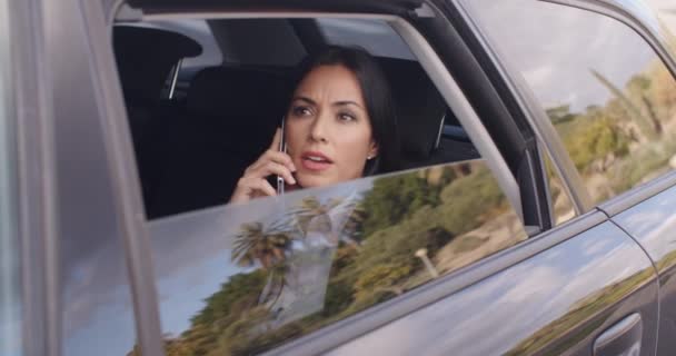 businesswoman talking on phone in limousine - Footage, Video