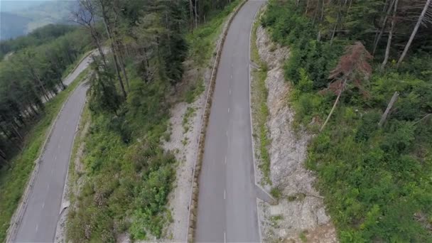 Skeittilaudalla oleva henkilö ratsastaa metsästä
 - Materiaali, video