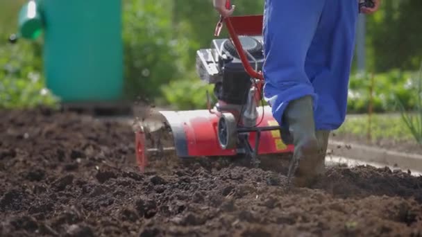 Persona che lavora sul proprio giardino
 - Filmati, video