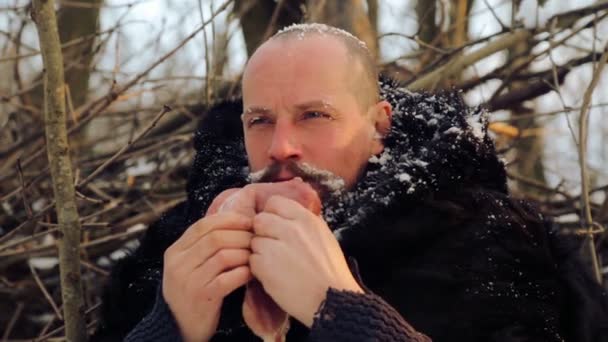 Portrait of a man with a beard devouring raw meat. Hungry northern bearded eats meat. Survivor northern bearded man with a piece of meat. - Filmati, video
