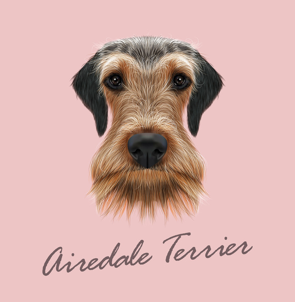 Airedale Terrier hond portret. - Vector, afbeelding