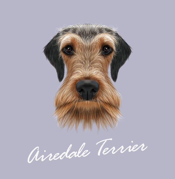 Airedale Terrier cachorro retrato. - Vetor, Imagem