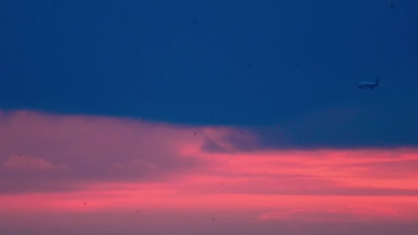 Letadlo letí na západ slunce nad městem - Záběry, video