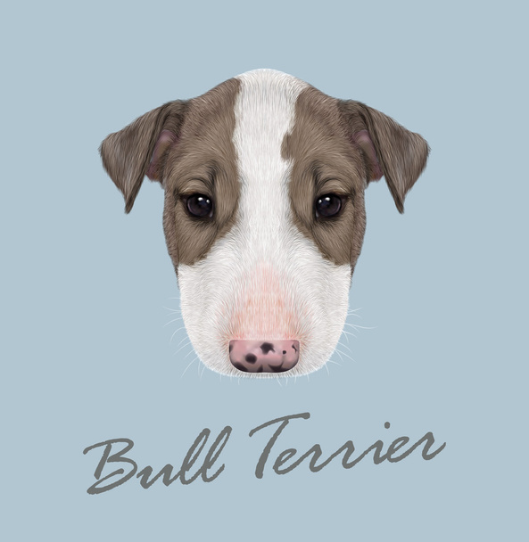 Bull Terrier Ritratto del cane
. - Vettoriali, immagini