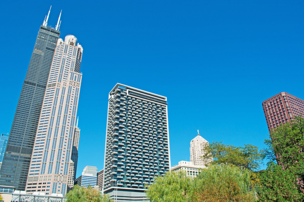 Chicago: ogląda Willis Tower, znany jako Sears Tower, sławny 1729 metrów wysokości, od kanału rejs po Chicago River - Zdjęcie, obraz