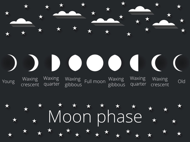 Las fases de la luna. Ilustración vectorial
. - Vector, Imagen