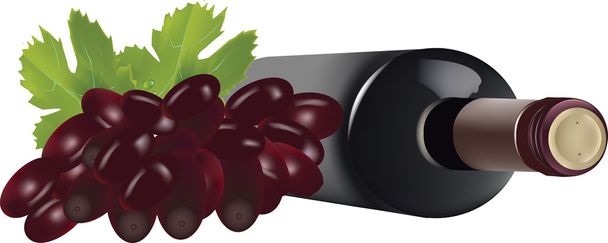 üveg bor és a szőlő - Vektor, kép