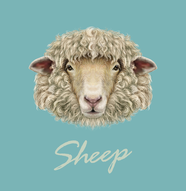 Portrét ovčí farmy. - Vektor, obrázek