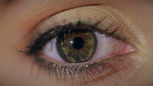 Όμορφες γυναίκες μάτι μακροεντολής - Πλάνα, βίντεο