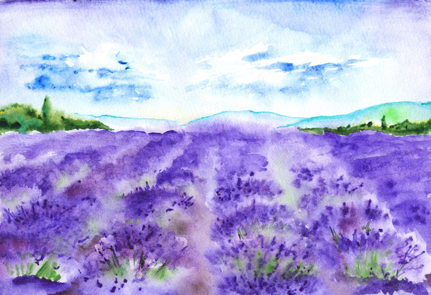 Watercolor lavender fields nature France Provence landscape - Photo, Image