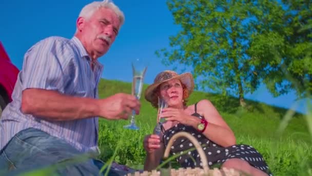 Seniorenpaar beim Picknick - Filmmaterial, Video